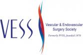 Vascular & Endovascular Surgery Society