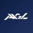 American Association of Gynecologic Laparoscopists