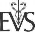 Eastern Vascular Society