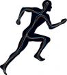 Supplee Chiropractic & Wellness
