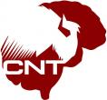 Castrell Neuromuscular Therapy