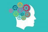Insight Therapeutic And Wellness Solutions, PLLC