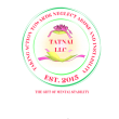 TATNAI LLC (Taking Action Towards Neglect Abuse Instability)