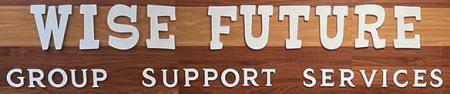 Wise Future Group Support Services, LLC