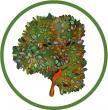 Your Growth Counseling