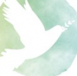 Elizabeth Southard, LMHC, LLC