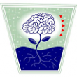 Aspiring Minds Clinic