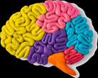 Dr. Vargas Lowy Child Neurology