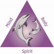 Bayside Chiropractic, PC