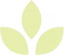 Aubrey Counseling, PLLC