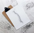 ScopeSpine - The Orthopedic Group - Lansdowne