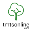 The Milieu Therapeutic Services, PLLC