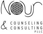 Nour Counseling & Consulting, PLLC