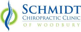 Schmidt Chiropractic Clinc, PA