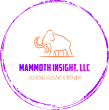Mammoth Insight, LLC