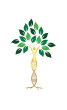 Serenity GYN & Functional Medicine